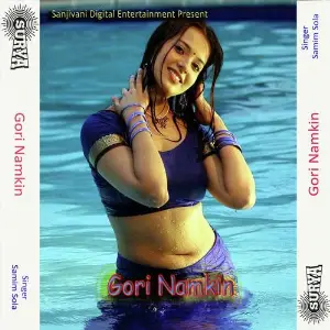 Gori Namkin image