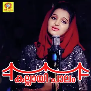 Kallayi Palam image