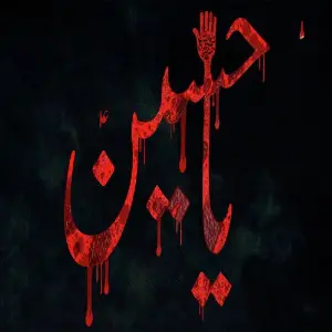 Hussain Janum image