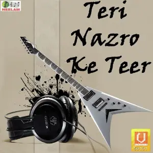 Teri Nazro Ke Teer image