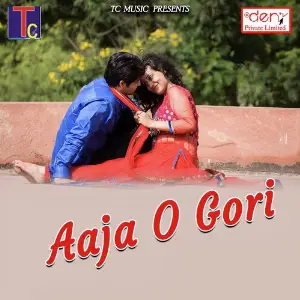 Aaja O Gori Various Artists