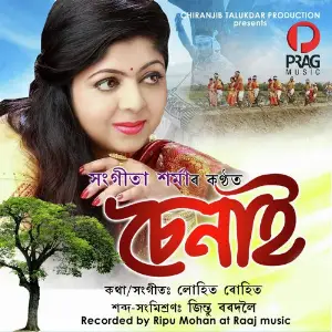Senai image