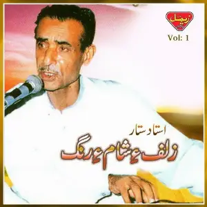 Zulf-e-Sham-e-Rung, Vol. 1 image