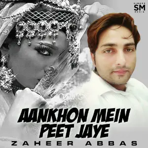 Aankhon Mein Peet Jaye image