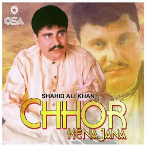 Chhor Ke Na Jana image
