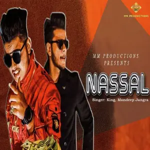 Nassal image