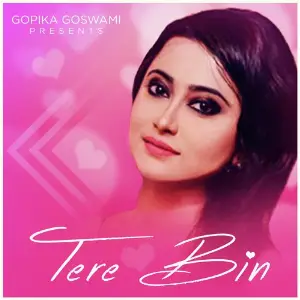 Tere Bin image