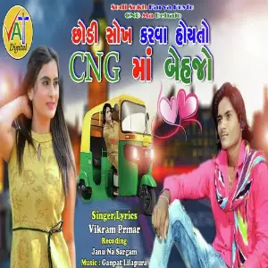 Sodi Sokh Karva Hoyto CNG Ma Behajo image