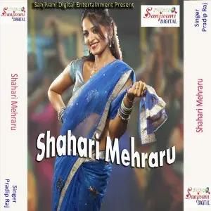 Shahari Mehraru image