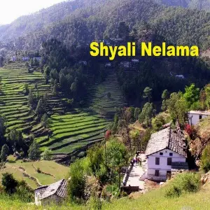 Shyali Nelama image