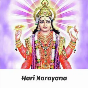 Hari Narayana Anil Hanslas Bhaiya