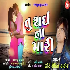 Tu Thaiy Na mari image