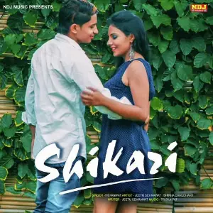 Shikari image
