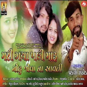 Mari Gaya Pachi Maru Modhu Jova Na Aavti image