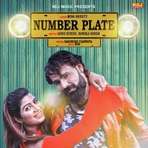 Number Plate image