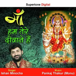 Maa Hum Tere Deewane Hai image