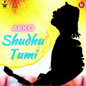 Shudhu Tumi image