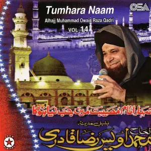 Tumhara Naam, Vol. 14 image