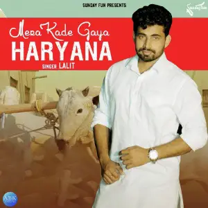 Mera Kade Gaya Haryana - Single image