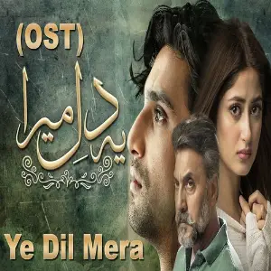 Ye Dil Mera Sajal Aly, Naveed Nashad, Shiraz Uppal