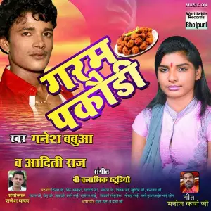 Garam Pakoudi image