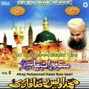 Too Sham-e-Risalat Hae, Vol. 8 image