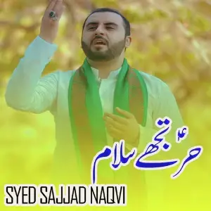 Hurr Tujhe Salam image