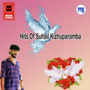 Hits Of Suhail Keezhumparambu image