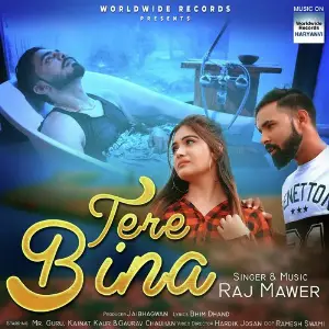 Tere Bina image
