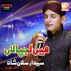Main Lajpalan - Single image