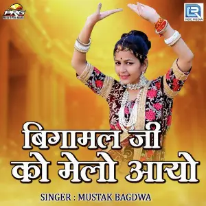 Bigamalji Ko Melo Aayo image