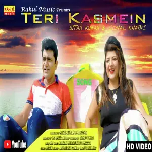 Teri Kasmein image