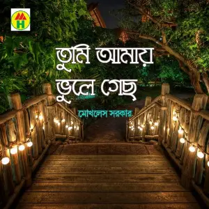 Tumi Amay Vule Gecho image