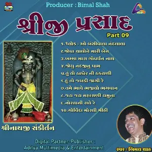 Shreeji Prasad-Shreenathji Sankirtan Pt.09 image