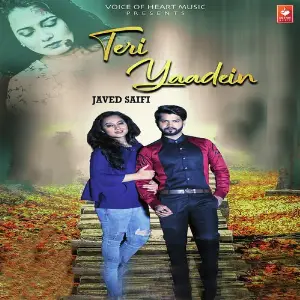 Teri Yaadein image