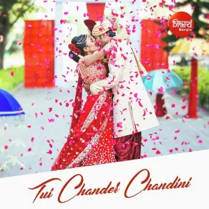 Tui Chander Chandini image