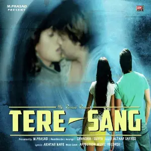 Tere Sang image