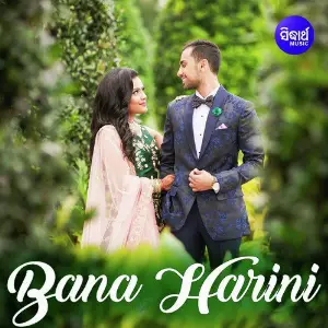 Bana Harini image