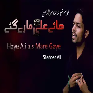 Haye Ali a.s Mare Gaye image
