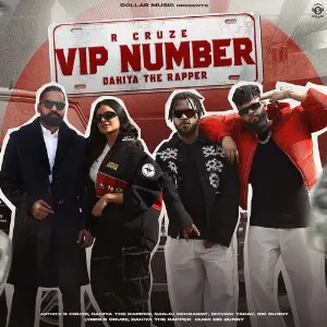 VIP Number image