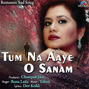 Tum Na Aaye O Sanam image