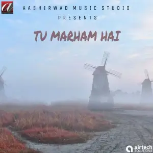 Tu Marham Hai image