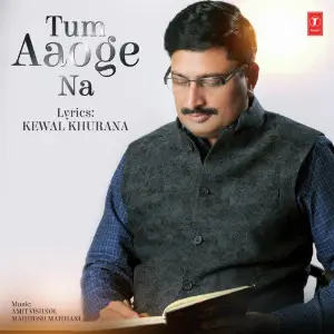 Tum Aaoge Na image