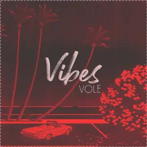 Vibes image