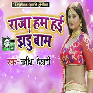 Raja Hum Hai Jhandu Baam image