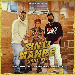 Binti Mahre Sone Ri image