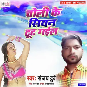 Choli Ke Siyan Tut Gail image