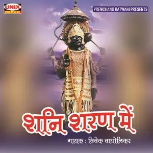 Shani Sharan Mein Vivek Vagholikar