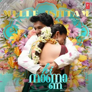 Melle Ishtam (From Hi Nanna) image