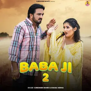 Baba Ji 2 image